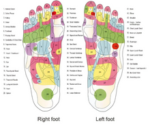 Load image into Gallery viewer, FALSE