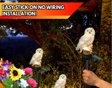 Load image into Gallery viewer, FALSE