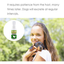Load image into Gallery viewer, Pet Potty Training Spray
