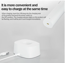 Load image into Gallery viewer, Electric Mosquito Swatter