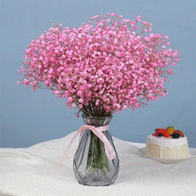 Load image into Gallery viewer, Baby's Breath Flower Seeds (100PCS)