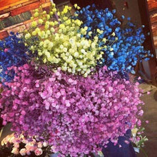 Load image into Gallery viewer, FALSE