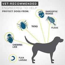Load image into Gallery viewer, Flea And Tick Collar For Dogs