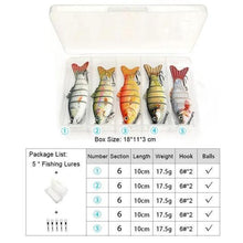 Load image into Gallery viewer, FALSE