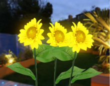 Load image into Gallery viewer, Illumilight™ Garden Lamp
