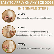 Load image into Gallery viewer, Flea And Tick Collar For Dogs
